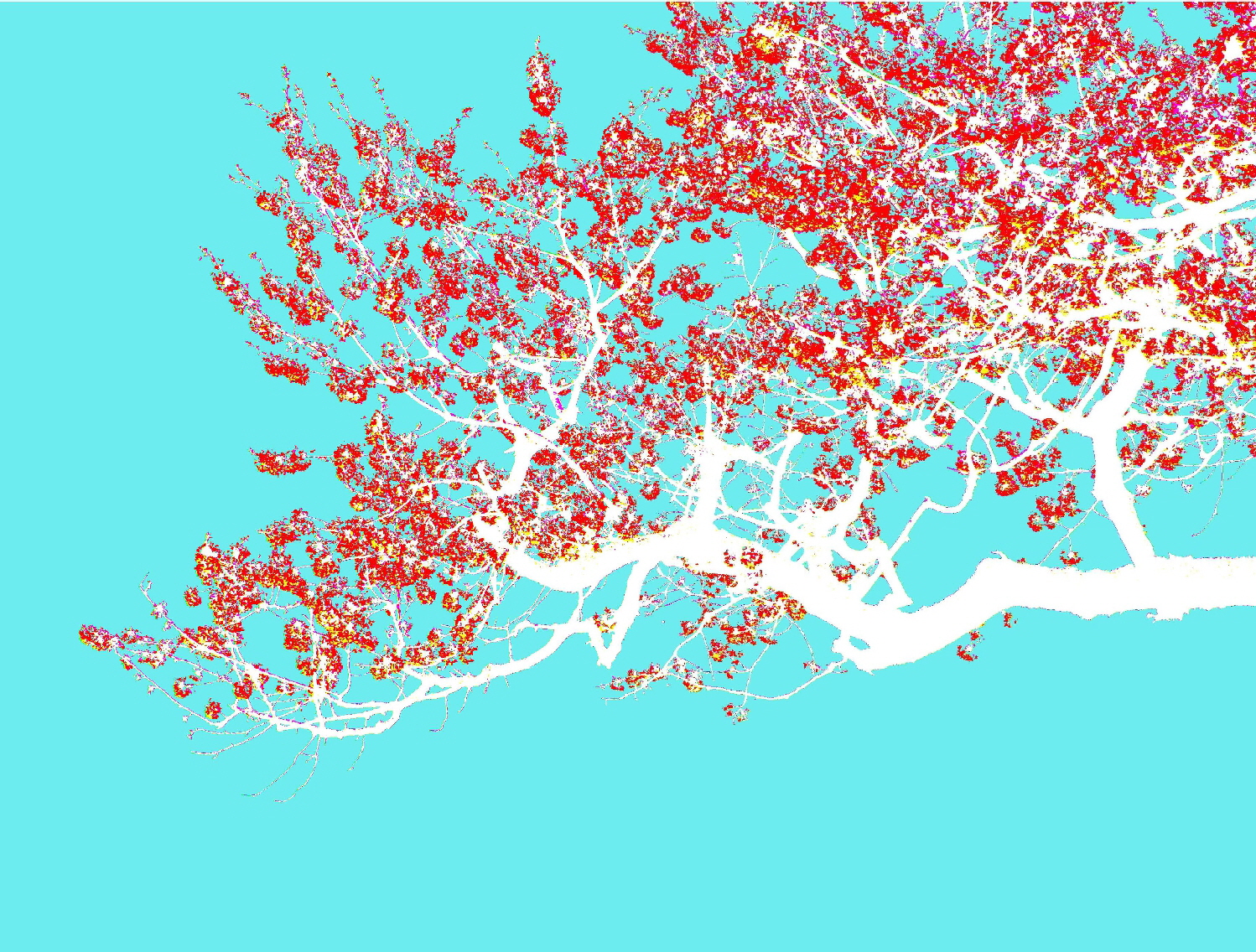 Farbiger Baum 1500